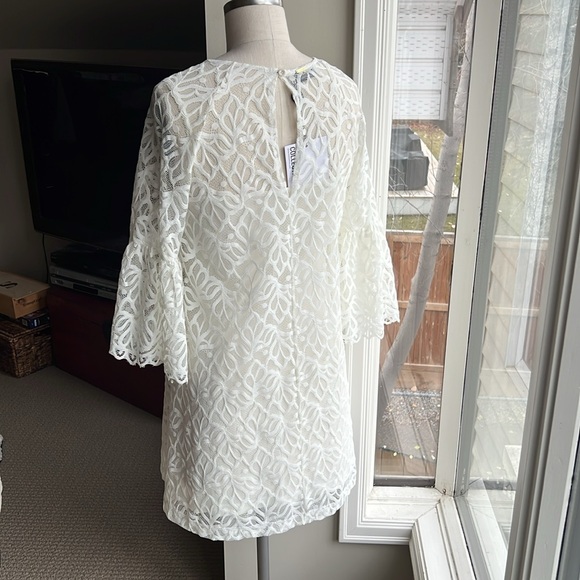 Elegant White Lace Mini Dress - Picture 2 of 8